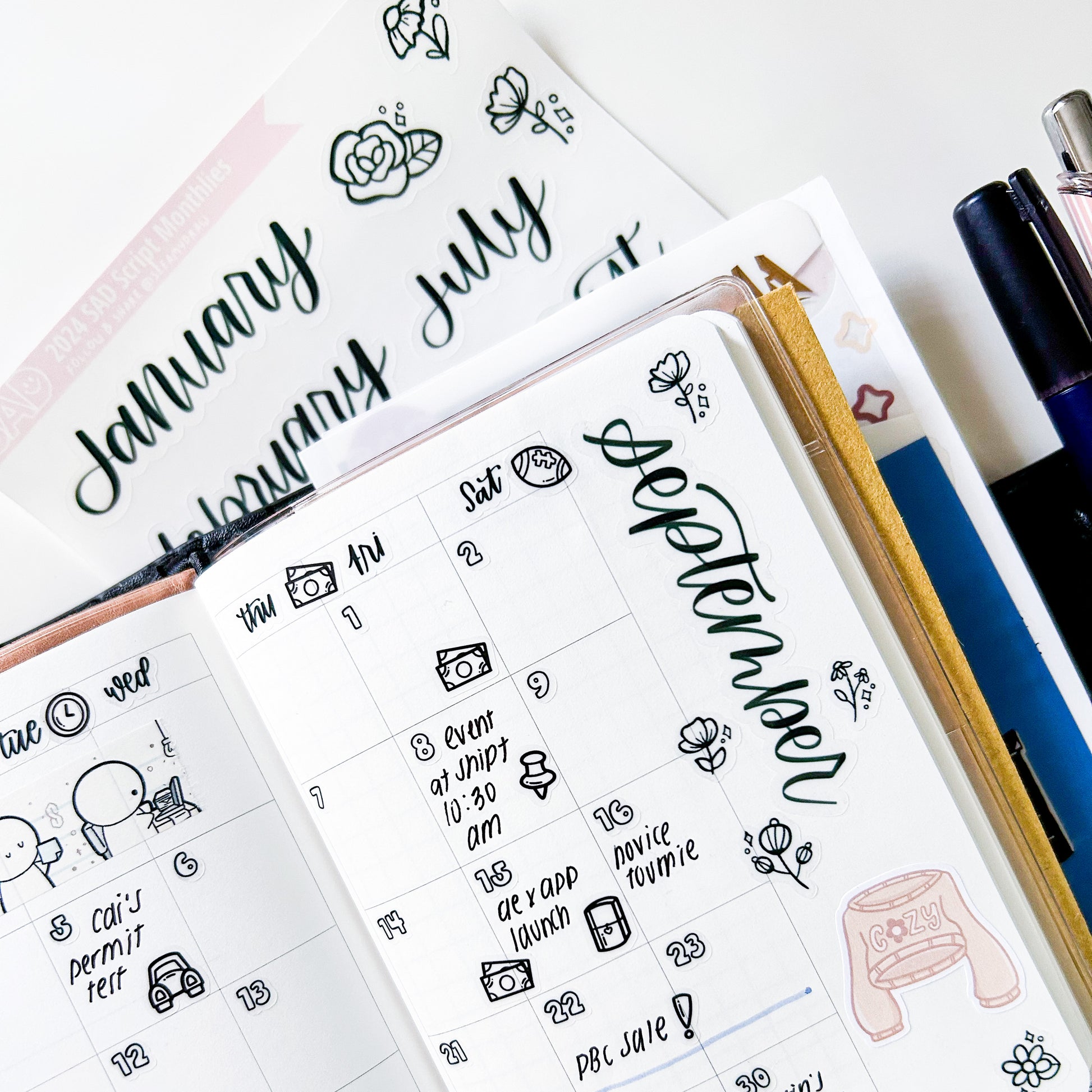 Monthly Scripts | Restock – See Amy Draw