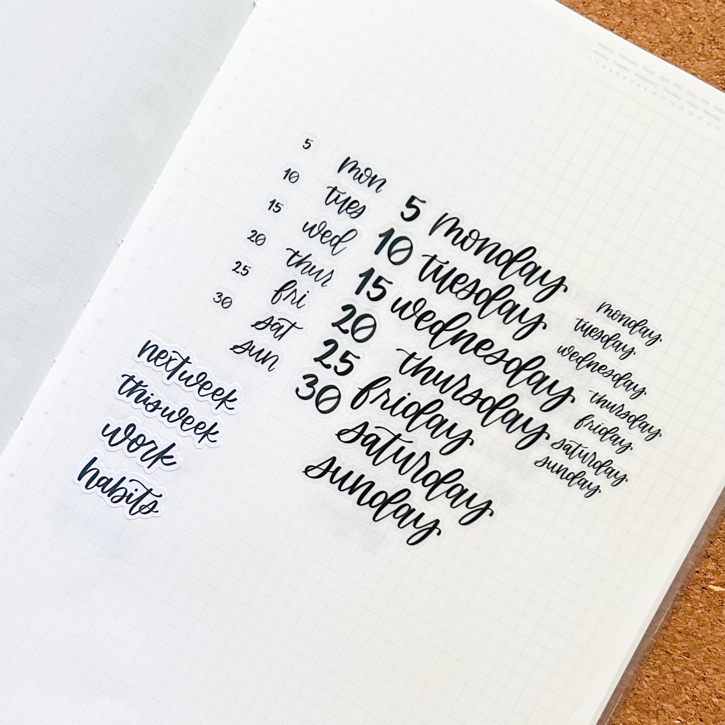 354 SAD 2024 Script This Week – See Amy Draw