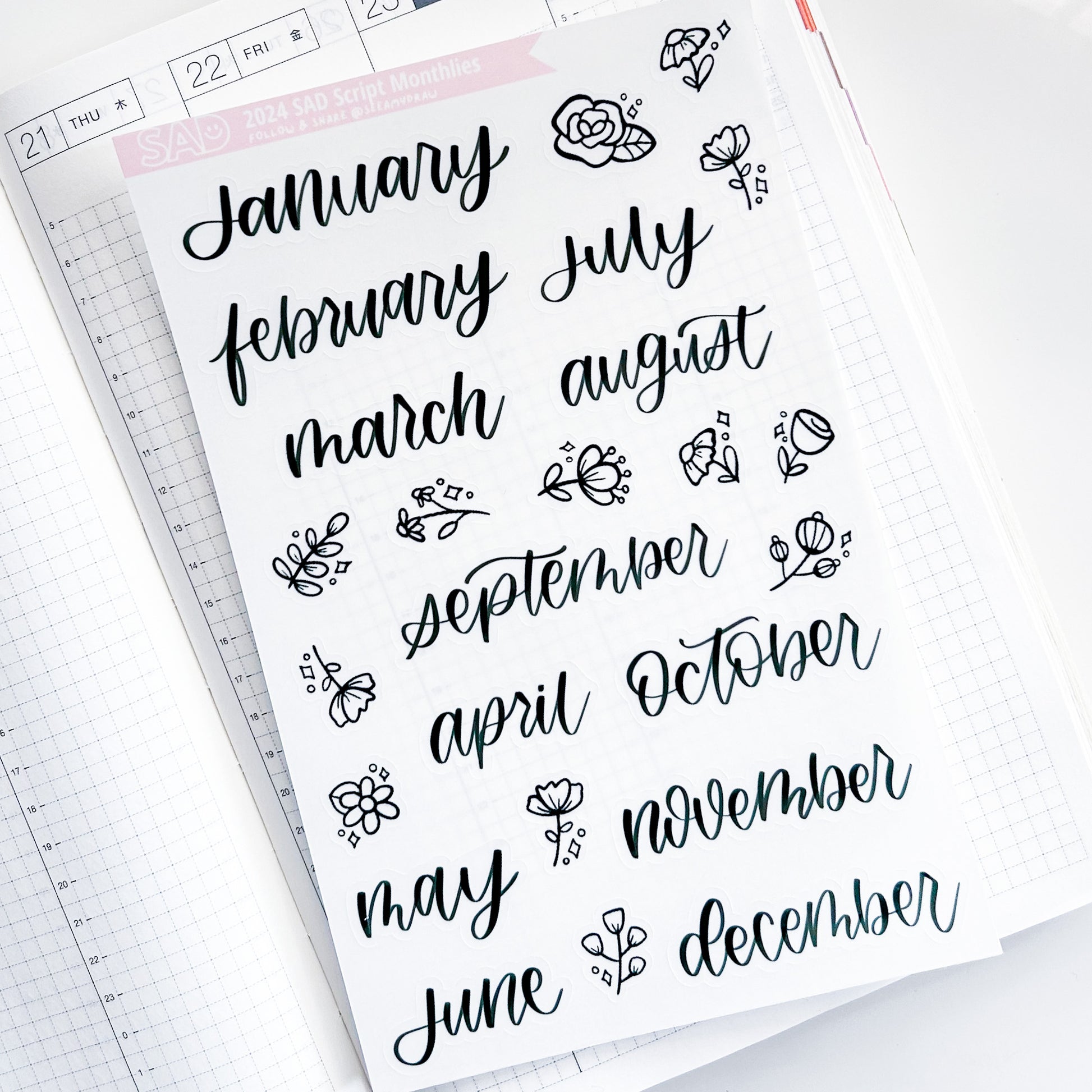 Monthly Scripts | Restock – See Amy Draw